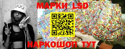 амф Обь