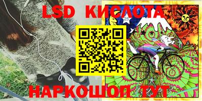 амф Обь