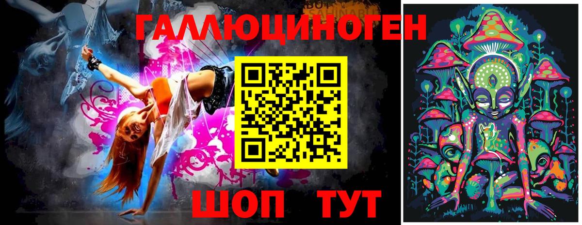 Галлюциногенные грибы Psilocybine cubensis Рязань