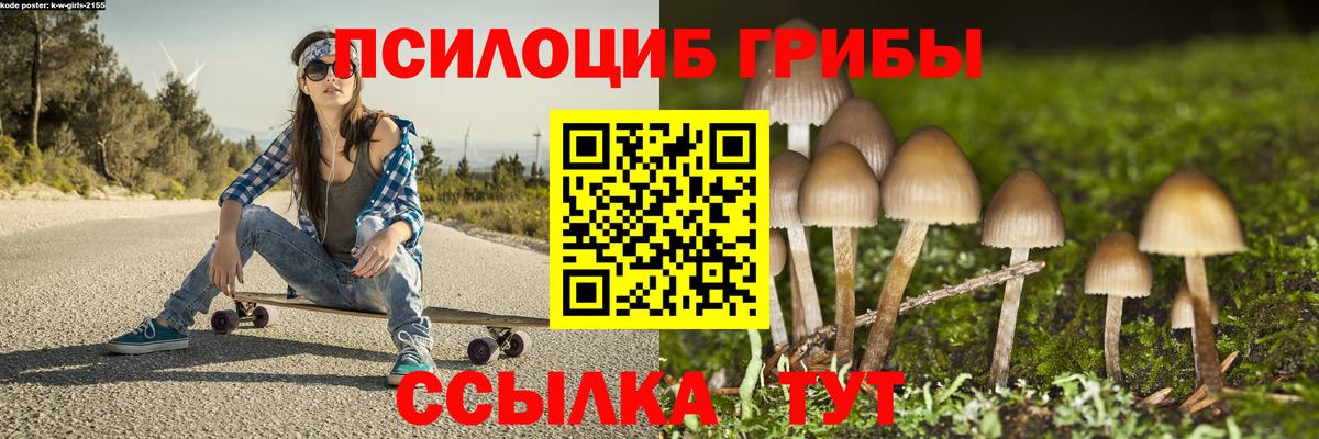 Рязань  Галлюциногенные грибы мицелий  Вход с VPN 
